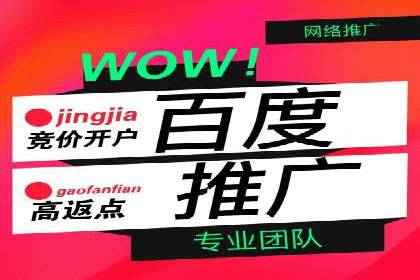 案例研究：百度竞价广告投放效果